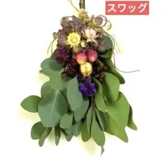 ユーカリ インテリア