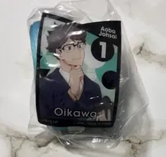 ハイキュー　キャラクターグッズ　及川　①