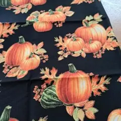 usaコットンカボチャ