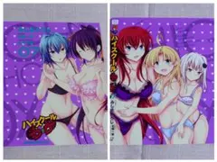 ハイスクールD✕D 特典ブックカバー - メルカリ