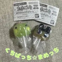 たまごっち カラフルキャンディチャーム・まめっちくちぱっち2個セット