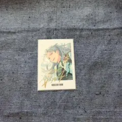 あんスタ!! 9周年 ぱしゃっつ 乱凪砂