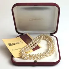 Item thumbnail for item bcd47f90-e1b1-4a91-af36-5068f717bb45