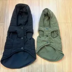 Item thumbnail for item 976cac66-7e24-47bc-9e41-e992ecfd6c15