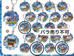 中日ドラゴンズ　ガチャ　アクリルキーホルダー　サマー　ドアラ　柳 鵜飼