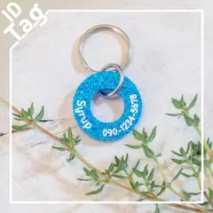 サークルモチーフの迷子札（リング型）　チャーム　キーホルダー　全15色名入れ無料