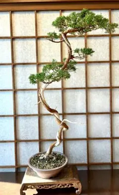 kaede様 リクエスト 2点 まとめ商品