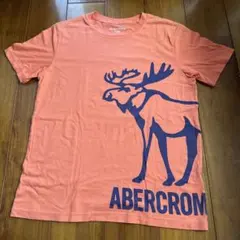 アバクロ　キッズ半袖