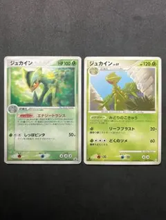 ジュカイン PCG-Pプロモカード 119/PCG-P 007/090