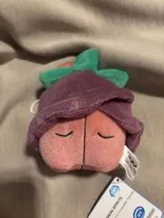 チェリム ネガフォルム ぬいぐるみ ポケモンフォーカス