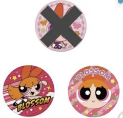パワーパフガールズ 刺繍缶バッジ ブロッサム 2個セット