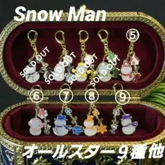 Snow Manレジンキーホルダー