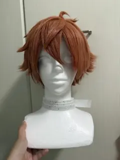 2025年最新】エース・トラッポラ ウィッグの人気アイテム - メルカリ