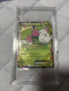 シェイミEX ポケキュンセットプロモ　ars9 2026年最新】シェイミEX プロモの人気アイテム - メルカリ