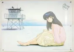 中古■めぞん一刻■中吊り■ポスター■高橋留美子■ビッグコミックスピリッツ■小学館 中古□めぞん一刻□中吊り□ポスター□高橋留美子□ビッグコミック