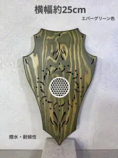 着生板 ビカクシダ 板付 トロフィー グリーン ウォール T446 - メルカリ