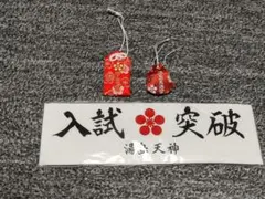 Item thumbnail for item 03ddafda-756d-42b1-b9a0-fb64e8071a44