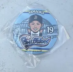 Item thumbnail for item 41a20da4-ea7e-440e-8dbf-489d1a64d90a