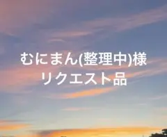 むにまん(整理中)様 リクエスト 2点 まとめ商品
