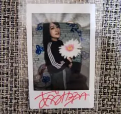 あべみかこ サイン入りチェキ 24枚セット あべみかこ 藤田こずえ サイン入りチェキ ① - メルカリ