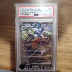 2026年最新】シロナ ガブリアス psa10の人気アイテム - メルカリ