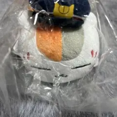 Item thumbnail for item a858c546-a4c0-4260-9bfc-bdf0cfef169f