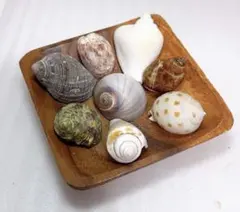 なな子様 リクエスト 2点 まとめ商品