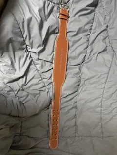 プロレザーベルト