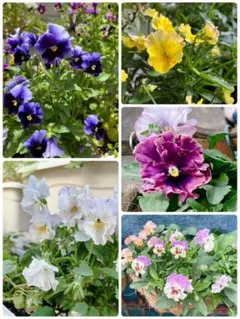 maripu..様 リクエスト 2点 まとめ商品