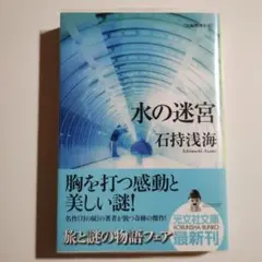 水の迷宮