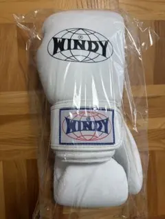 WINDY ボクシンググローブ BGVH 10oz ホワイトのサムネイル
