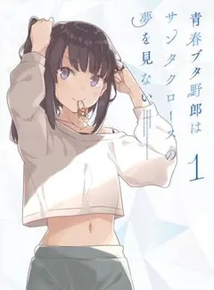 【DVD】青春ブタ野郎はサンタクロースの夢を見ない 1巻 完全限定生産盤