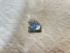 ポケモン 30周年 メタルチャーム ゼニガメ
