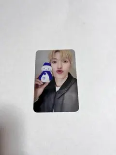 SEVENTEEN　ドギョム　DxS トレカ