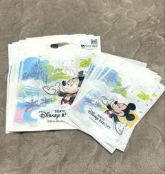 東京ディズニーリゾート ショッピングバッグ ショッパー