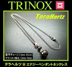 テラヘルツ2連ペンダント ステンレスネックレス(喜平2mm M)【テラシール付】