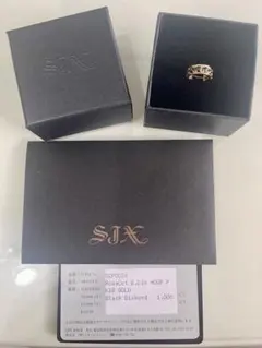 SJX 18K ブラックダイヤ ピアス 片耳 希少モデル 箱・証明書付き