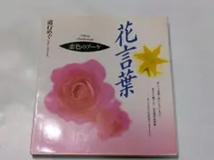 花言葉 写真集 道行めぐ