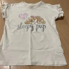 120㎝　スカイ Tシャツ　パウパトロール