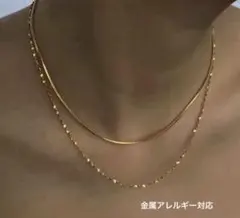 【新品　金属アレルギー対応】ゴールド 2連ネックレス