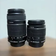 ⭐️美品⭐️Canon EF 50mm F1.8Ⅱ& EF-EOS Mアダプター - メルカリ