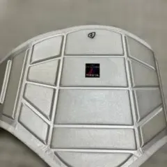 Item thumbnail for item db260cc9-294c-4ce6-a426-d74a3d88b55b