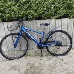 2026年最新】ドライド 自転車の人気アイテム - メルカリ