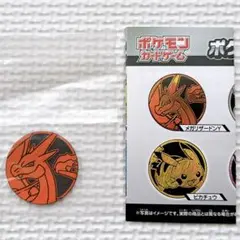 ポケモン カードゲーム ポケカ コインコレクション 第6弾 メガリザードンY ②