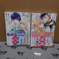 姉に婚約者を寝取られたので訳あり令息と結婚して辺境へと向かいます ～苦労の先に…