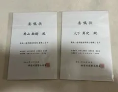 Item thumbnail for item 055f9cab-2b34-4824-9586-6d587d1eb83e