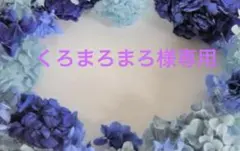 くろまろまろ様専用　バラ苗