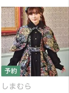 メゾン・デ・ペルル 小林モー子 完売ドードー 希少 - メルカリ