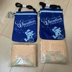 バケーションパッケージ ポーチ2個&ディズニーランドホテル限定エコバッグ