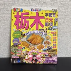 Item thumbnail for item 2aa11781-b97c-4f06-a89d-e1203e9b1d52